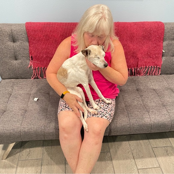 SWEET HAZEL - Picture 14 of 16